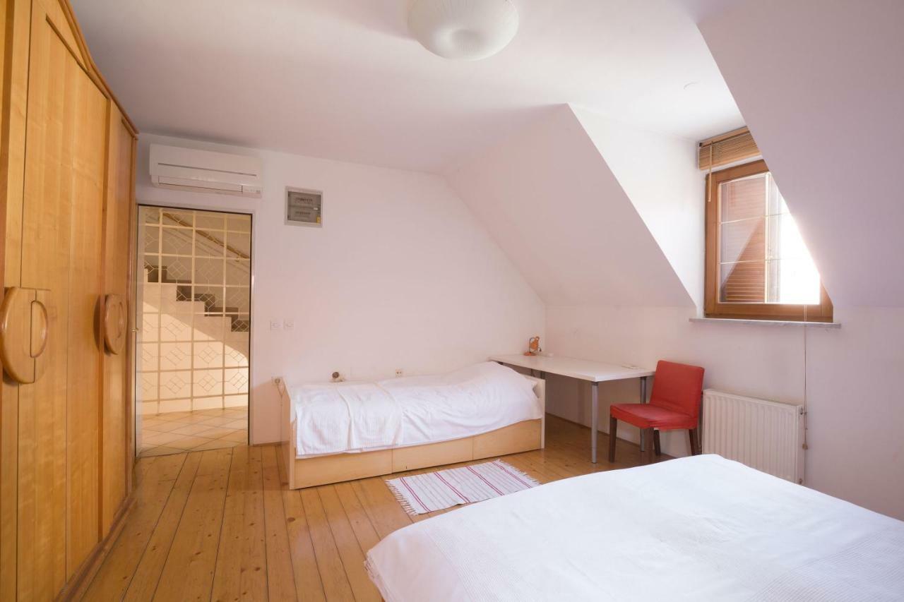 Spacious 2-Bedroom Apartment Zabjak With Ac Tour As Ljubljana Exteriör bild